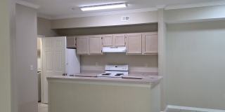 5610 Pinnacle Heights Circle Gallery 8