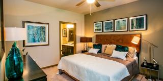 Aliso Briar Forest Gallery 14