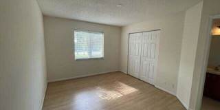 5219 Palmbrooke Circle - 1 Gallery 22