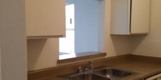 Forest Ridge Gallery 154