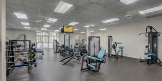 51 Tilford C Gallery 34