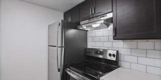 The Palmiere Gallery 2