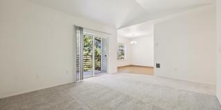 Nolan Ridge Gallery 8