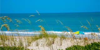 676 Royal Palm Place Gallery 22