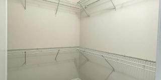 7805 LOBLOLLY Way Gallery 11