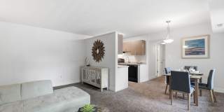 Glenmont Forest Gallery 40