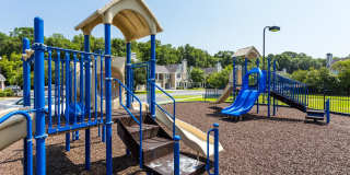 The Links at Georgetown Gallery 25