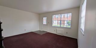1181 D Kelburn Road Gallery 10