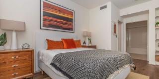 Vineyards Gallery 132