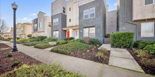 2516 Prosper Rd Gallery 1