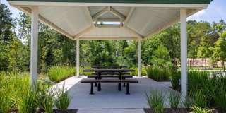 Love where you live in Hunter's Creek in Huntsville, TX! Gallery 25