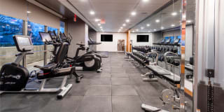 The Banks Gallery 36