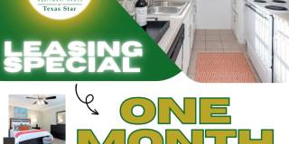 Del Prado at Texas Star Gallery 1