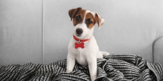 The Franklin Residences Gallery 14