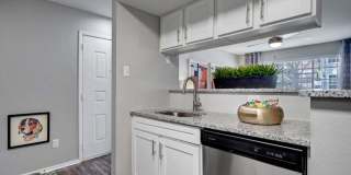 Foundations at Edgewater Gallery 2