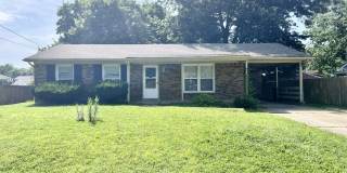 203 Redbud Drive Gallery 1