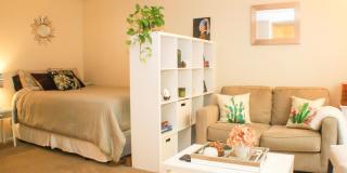 Woodland Gallery 11