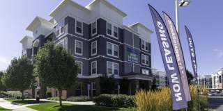 The Hills at Renaissance Gallery 1