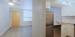 Allora Phoenix Gallery 2