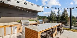 Modera Overlake Gallery 41