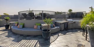 The Vantage Gallery 40