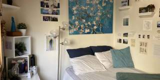 Husky Townhomes Gallery 50