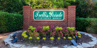Trellis Pointe Gallery 3