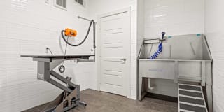 AMLI at Escena Gallery 12