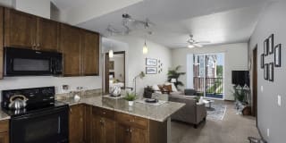 Sierra Pointe Gallery 17