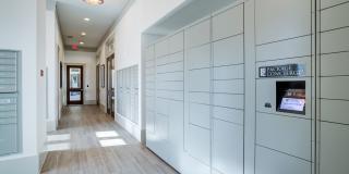 Ariza Westview Gallery 10