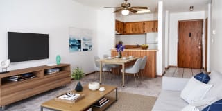 Nicollet Court Gallery 4