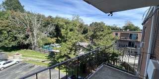 Elmwood Park Gallery 12