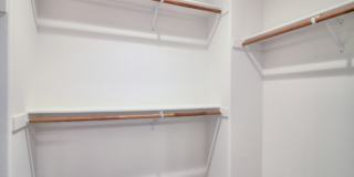 109 Tiger Lily St Gallery 11