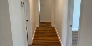 9 Begonia Ln Gallery 19