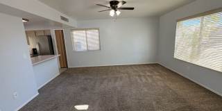 Beautiful eastside location Beautiful eastside location Gallery 13