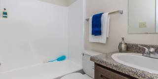 Autumn Wood Gallery 20