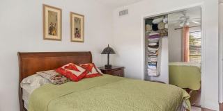 9900 Pineapple Tree Drive Gallery 13