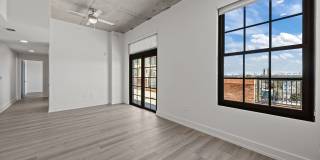 LC Line & Low Gallery 38