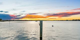 954 Dolphin Court Gallery 56