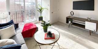 The Harvard Gallery 1