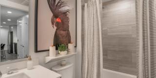 The Belgard Gallery 10