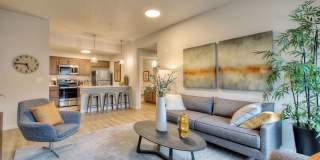 Alder Walk Gallery 22