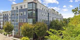 303 Flats Gallery 40