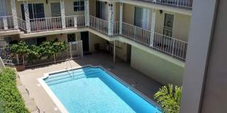 Diamond Pacific Diamond Pacific Gallery 1