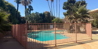 Palm Crest Gallery 14