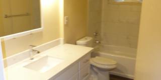 Beautiful 3 Bed 1 Bath Single Family House - Bellevue Gallery 23