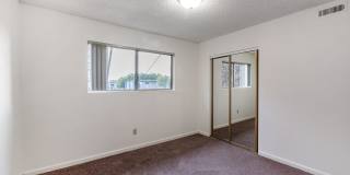 Prospera Village Gallery 26