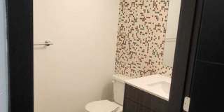 Our Newest Luxury Studios in Ballard! Gallery 33