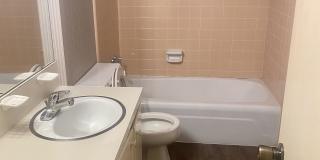 1504 Colorado Gallery 10