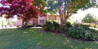 30658 Mystic Forest Drive Gallery 1
